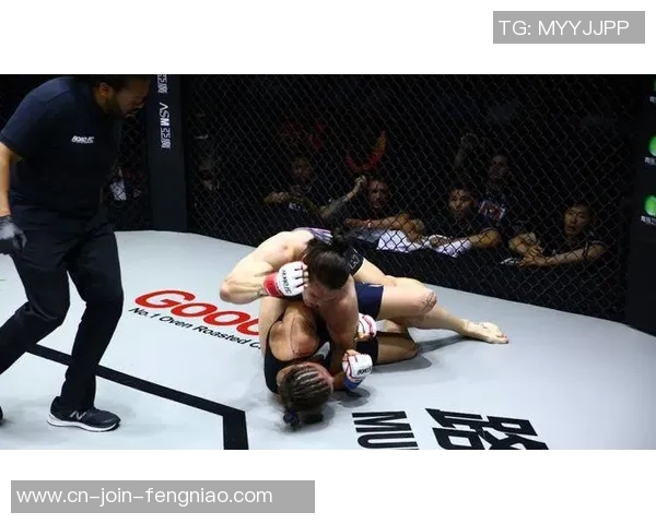 史蒂夫·加西亚呼吁UFC官方替换手套